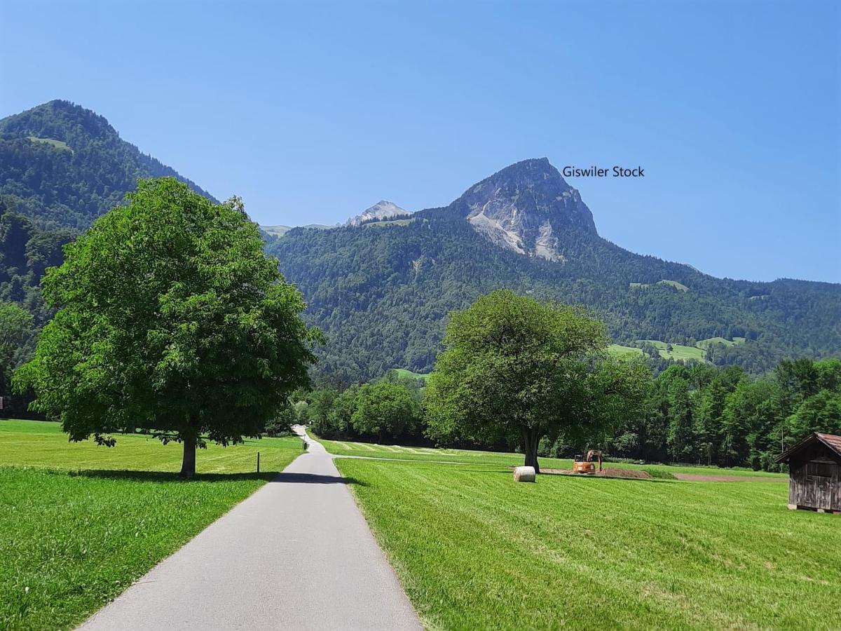 Haus Nussbaumweg 6 Villa Giswil Luaran gambar
