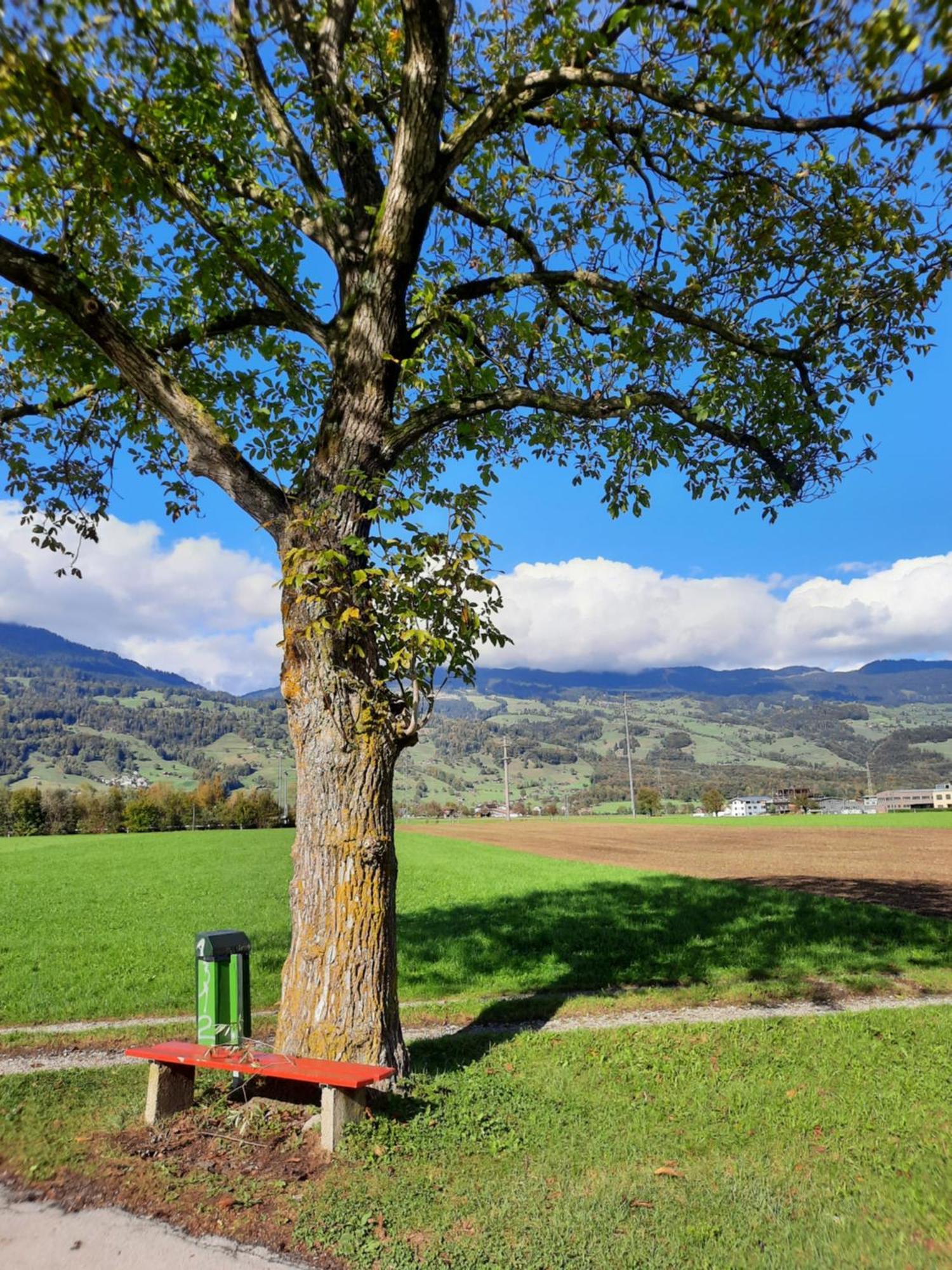 Haus Nussbaumweg 6 Villa Giswil Luaran gambar